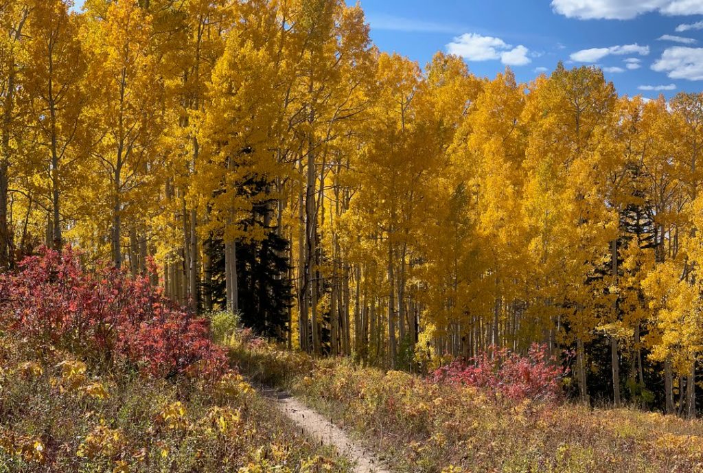 fall colors trails