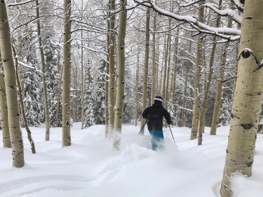 tree skiing steamboat