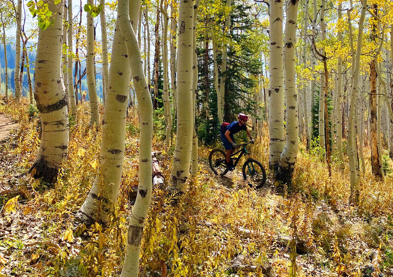 mountain biking in aspens