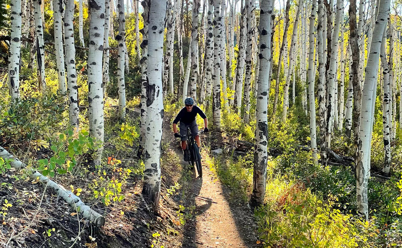 mad rabbit mountain biking