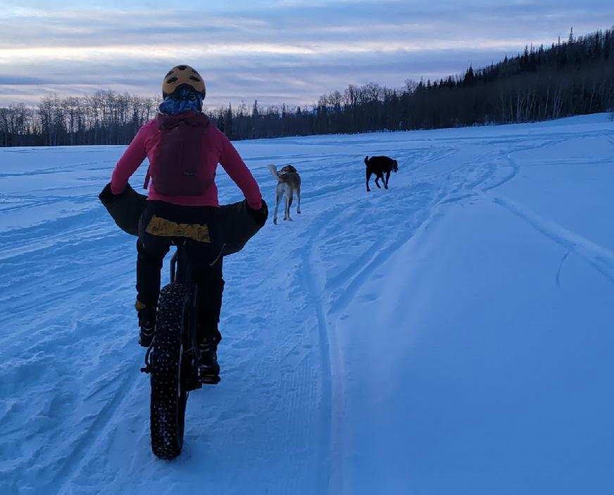 fat biking with dogs